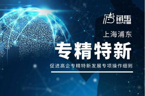 上海浦東新區(qū)促進(jìn)高新技術(shù)企業(yè)專(zhuān)精特新發(fā)展技術(shù)服務(wù)專(zhuān)項(xiàng)操作細(xì)則