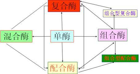 飼用酶制劑的產(chǎn)品現(xiàn)狀與技術(shù)開(kāi)發(fā)路線(xiàn)升級(jí)——基于馮定遠(yuǎn)教授BFC會(huì)議報(bào)告