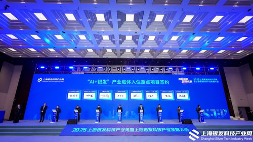 合力打造銀發(fā)科技產(chǎn)業(yè)“上海樣本”——2025上海銀發(fā)科技產(chǎn)業(yè)發(fā)展大會(huì)圓滿(mǎn)閉幕